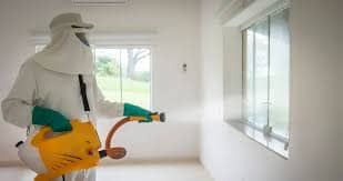 Sanitização de ambiente em comércio